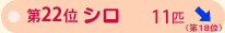 ��Q�Q�ʁ@�V���@�P�P�C�@��