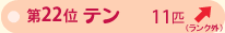 ��Q�Q�ʁ@�e���@�P�P�C�@��