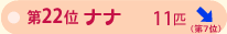 ��Q�Q�ʁ@�i�i�@�P�P�C�@��