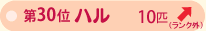 ��R�O�ʁ@�n���@�P�O�C�@��