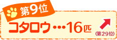 ��X�ʁ@�R�^���E�@�P�U�C�@��