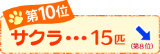 ��P�O�ʁ@�T�N���@�P�T�C�@��
