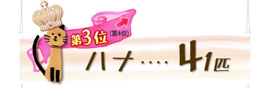 第3位 ハナ 41匹 ↑