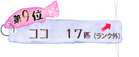 第9位 ココ 17匹 ↑