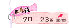 第4位 クロ 23匹 ↑