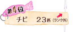 第4位 チビ 23匹 ↑