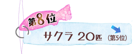 第8位 サクラ 20匹 ↓