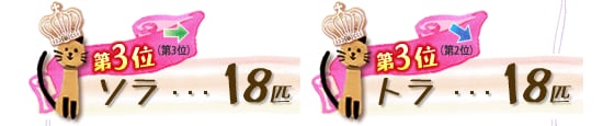 第3位 ソラ 18匹 →