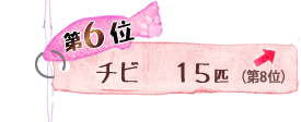 第6位 チビ 15匹 ↑