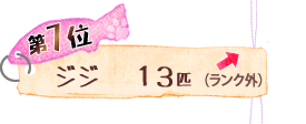 第7位 ジジ 13匹 ↑