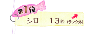 第7位 シロ 13匹 ↑