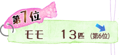 第7位 モモ 13匹 ↓