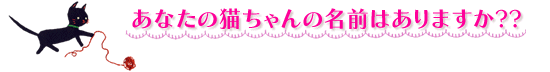 ���Ȃ��̔L�����̖��O�͂���܂���??