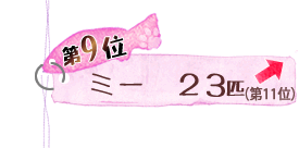 第9位 ミー23匹 ↑