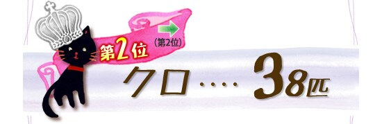 第2位 クロ 38匹 →