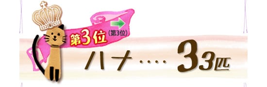 第3位 ハナ 33匹 →