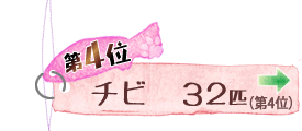 第4位 チビ 32匹 →