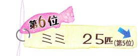 第6位 ミミ 25匹 ↓