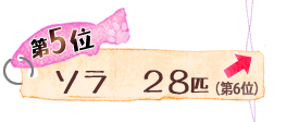 第5位 ソラ 28匹 ↑
