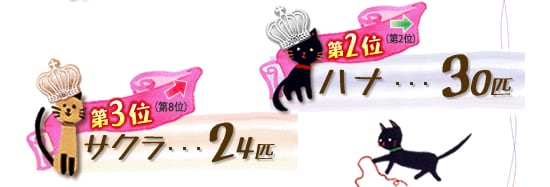 第2位 ハナ 30匹 →