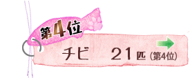 第4位 チビ 21匹 →
