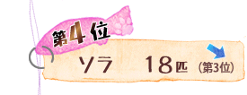 第4位 ソラ 18匹 ↓