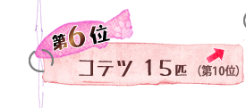 第6位 コテツ 15匹 ↑