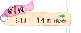 第7位 シロ 14匹 →