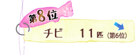 第8位 チビ 11匹 ↓