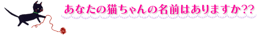 ���Ȃ��̔L�����̖��O�͂���܂���??