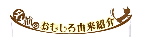 名前のおもしろ由来紹介!
