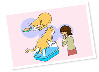 �C���X�g