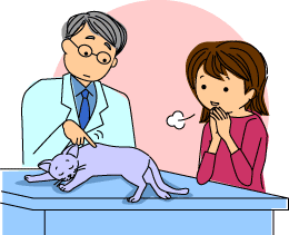 治療中の猫