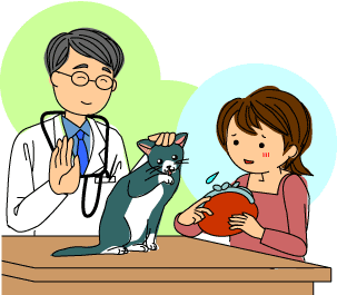 �C���X�g