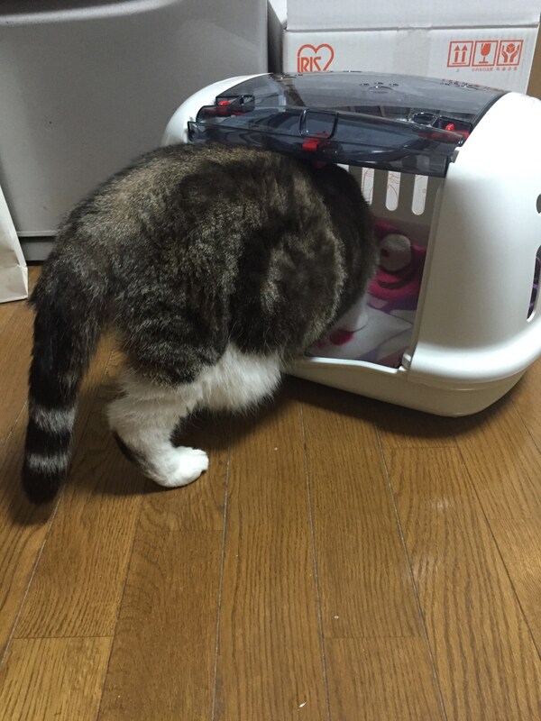 レポート1