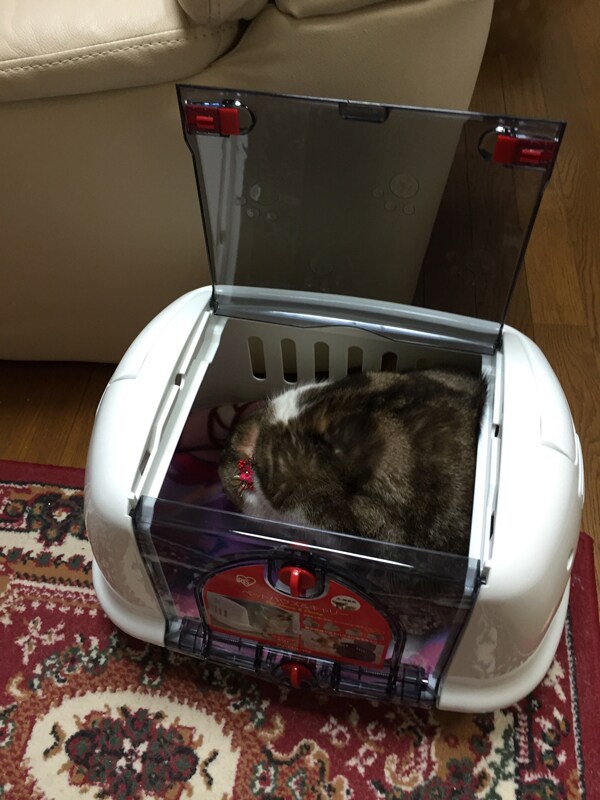 モニターを終えて
