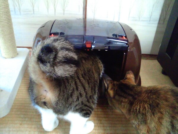 レポート1
