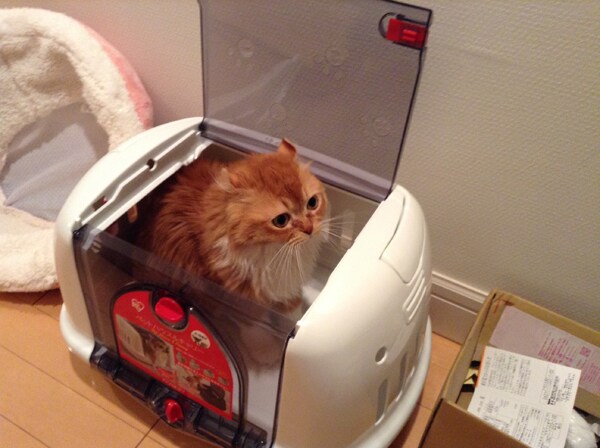 レポート1