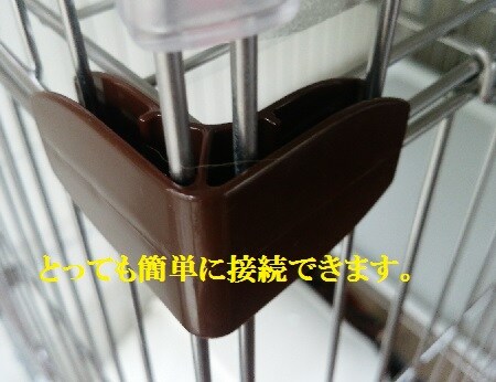 レポート画像