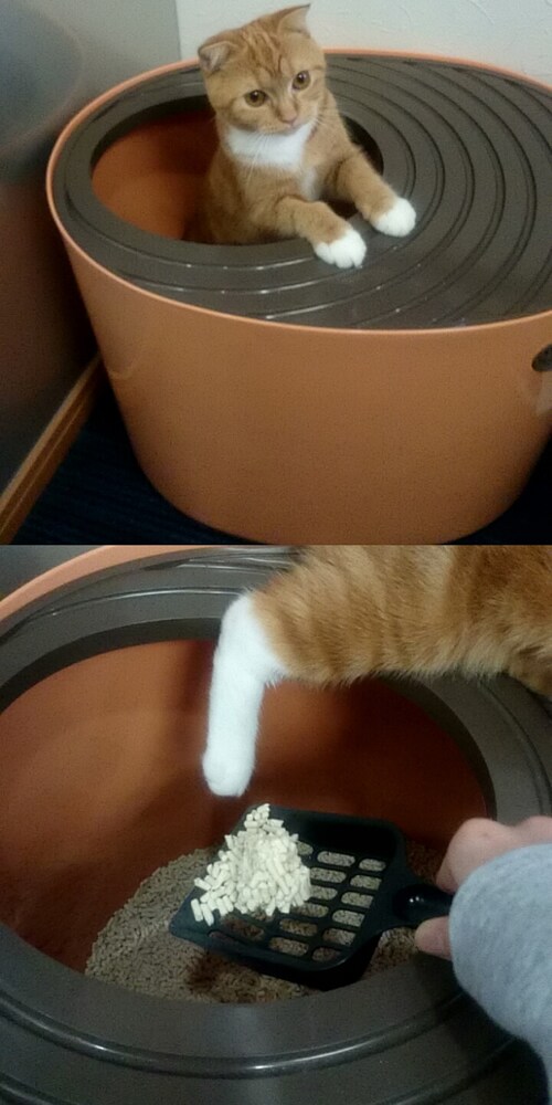 モニターを終えて
