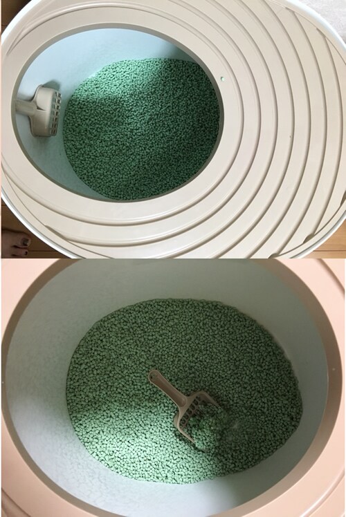 モニターを終えて