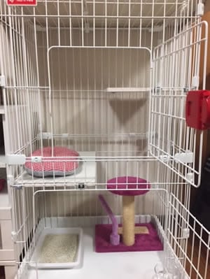 モニターを終えて