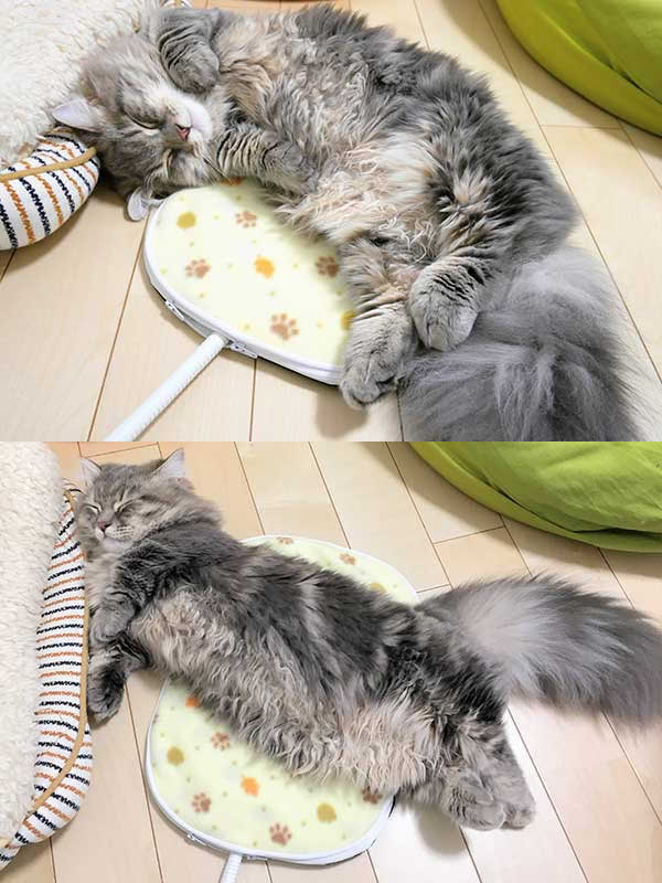 ���j�^�[���I����