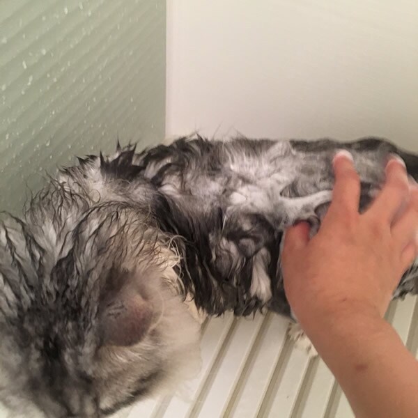���|�[�g�摜