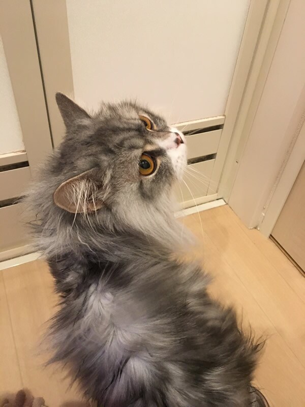 ���|�[�g�摜