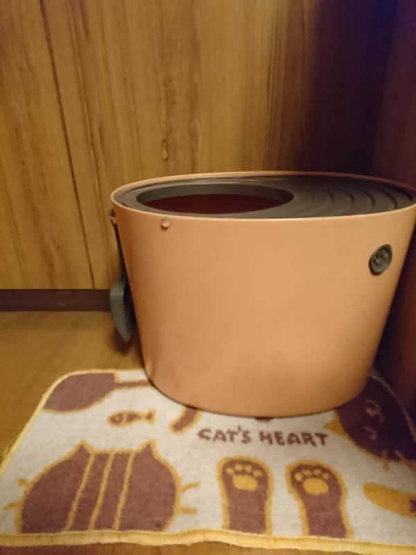 レポート画像
