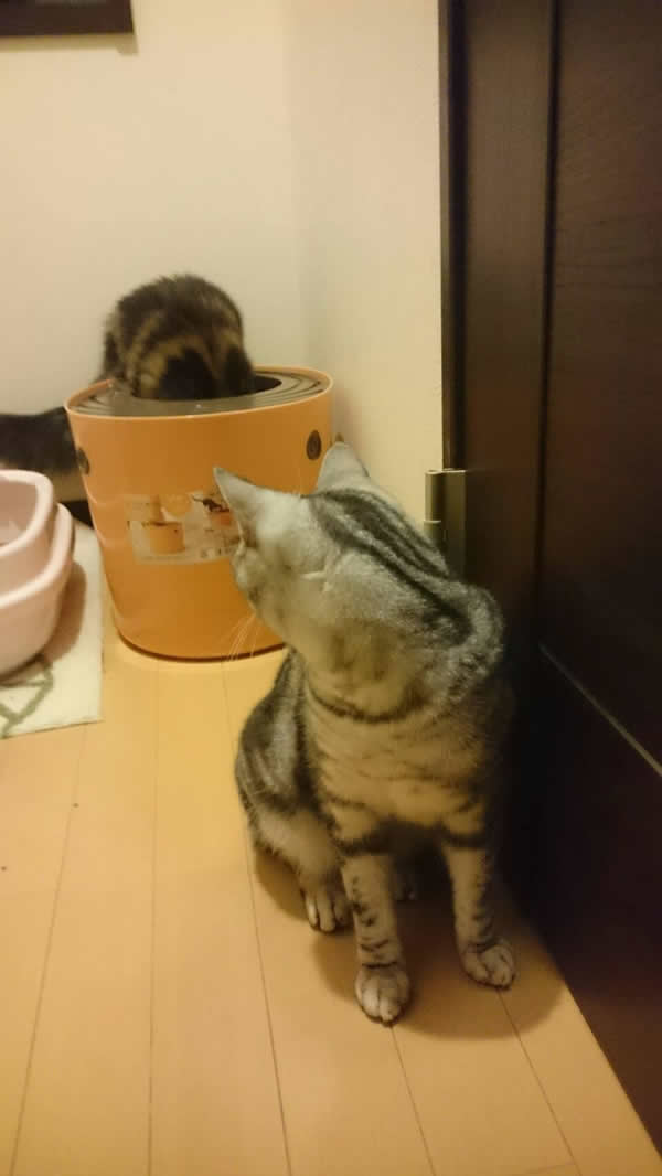 モニターを終えて