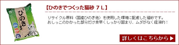 猫砂特集