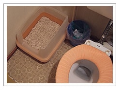 猫と人のトイレが並んでます。流せる砂は大変便利。