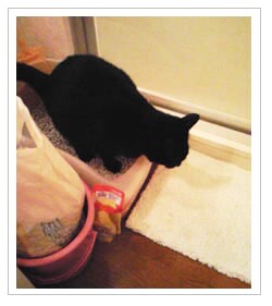 �g�C���̂��Ƃ��U��΂肪����܂���ł����B